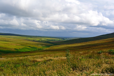 Langholm Moor